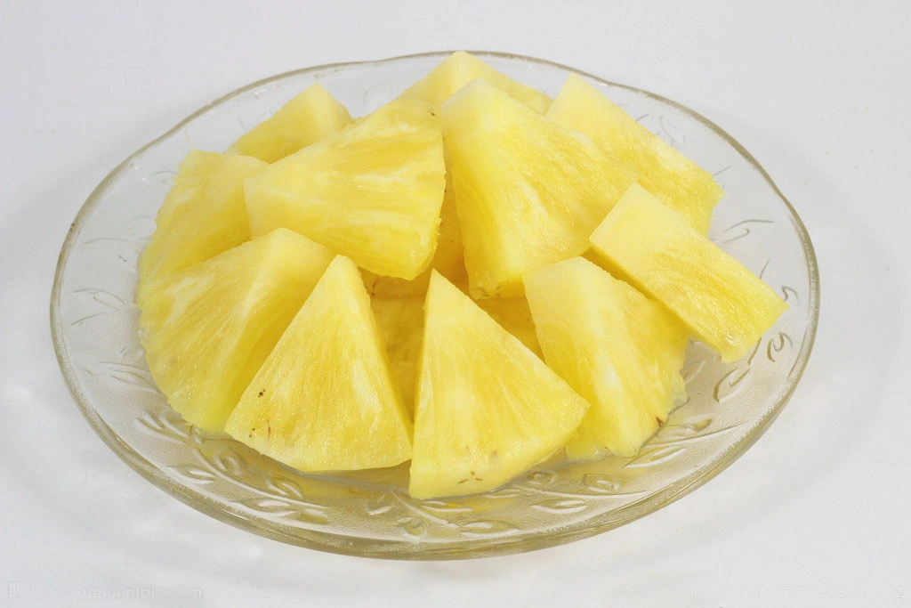 567g Canned Pineapple with Best Quality